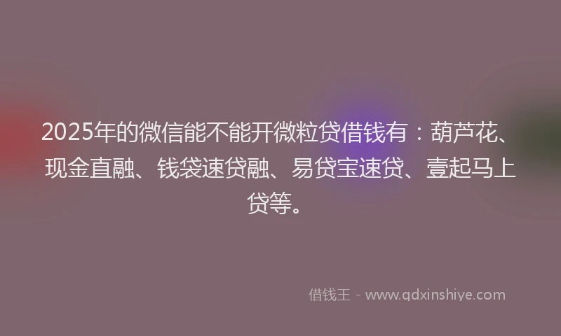 2025年的微信能不能开微粒贷借钱有：葫芦花、现金直融、钱袋速贷融、易贷宝速贷、壹起马上贷等。