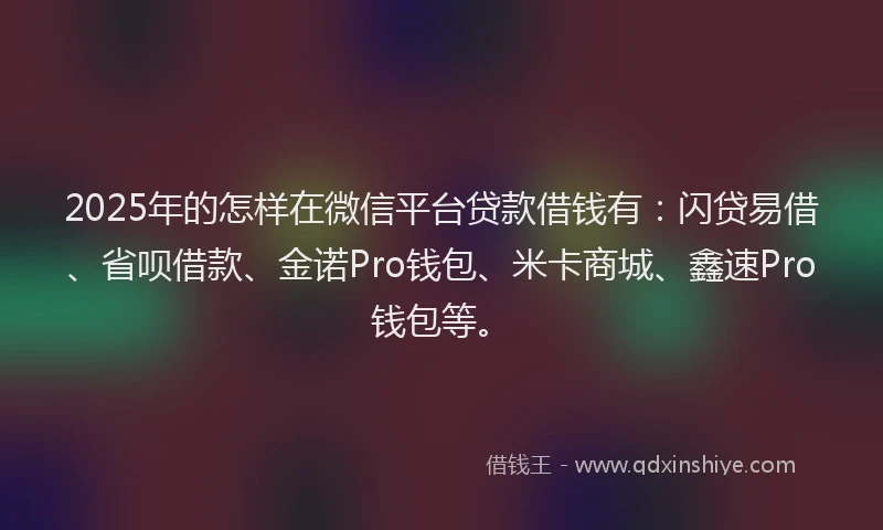 2025年的怎样在微信平台贷款借钱有：闪贷易借、省呗借款、金诺Pro钱包、米卡商城、鑫速Pro钱包等。