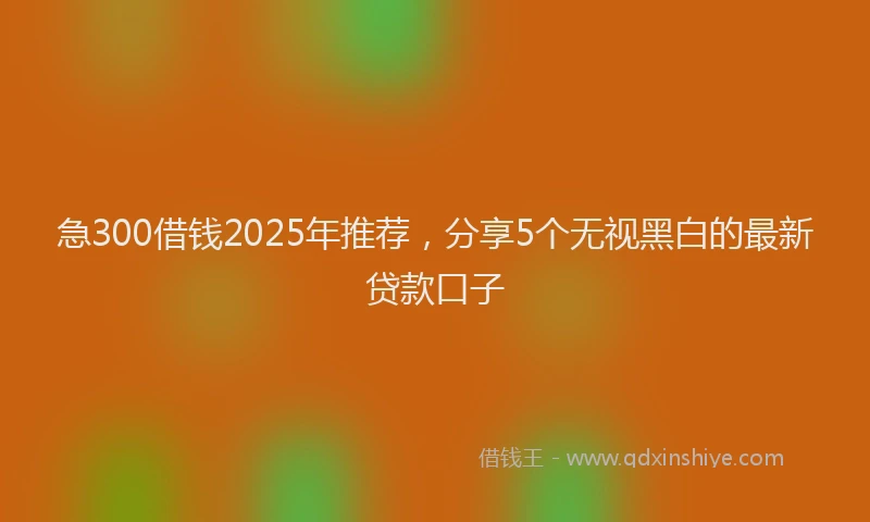 急300借钱2025年推荐，分享5个无视黑白的最新贷款口子