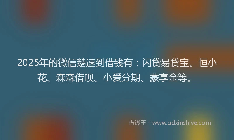 2025年的微信鹅速到借钱有：闪贷易贷宝、恒小花、森森借呗、小爱分期、蒙享金等。