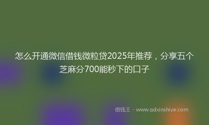 怎么开通微信借钱微粒贷2025年推荐，分享五个芝麻分700能秒下的口子