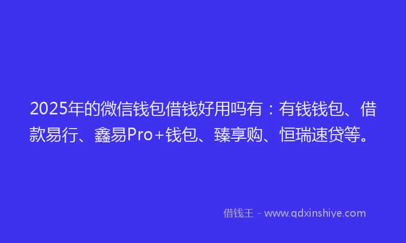 2025年的微信钱包借钱好用吗有：有钱钱包、借款易行、鑫易Pro+钱包、臻享购、恒瑞速贷等。