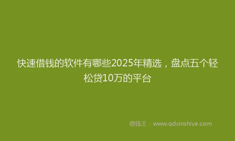 快速借钱的软件有哪些2025年精选，盘点五个轻松贷10万的平台