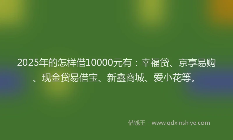 2025年的怎样借10000元有：幸福贷、京享易购、现金贷易借宝、新鑫商城、爱小花等。