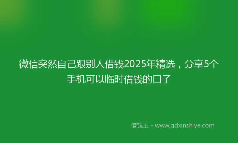 微信突然自己跟别人借钱2025年精选，分享5个手机可以临时借钱的口子
