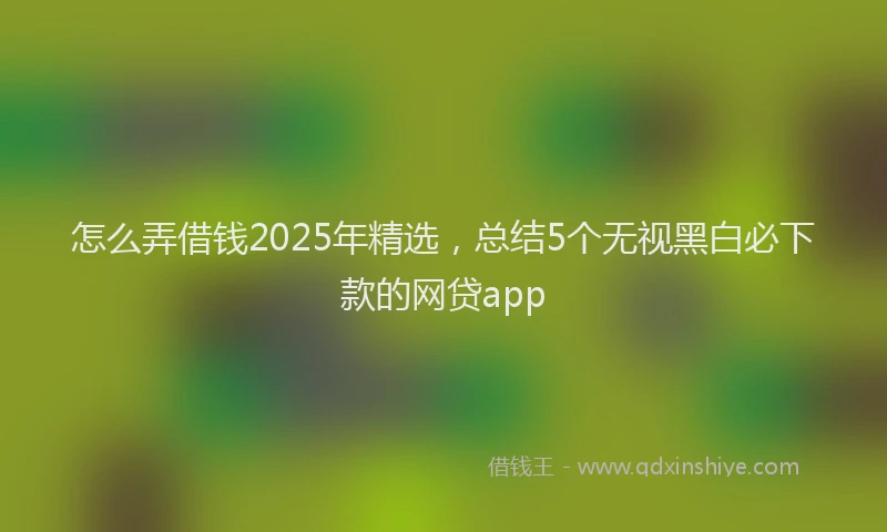 怎么弄借钱2025年精选，总结5个无视黑白必下款的网贷app