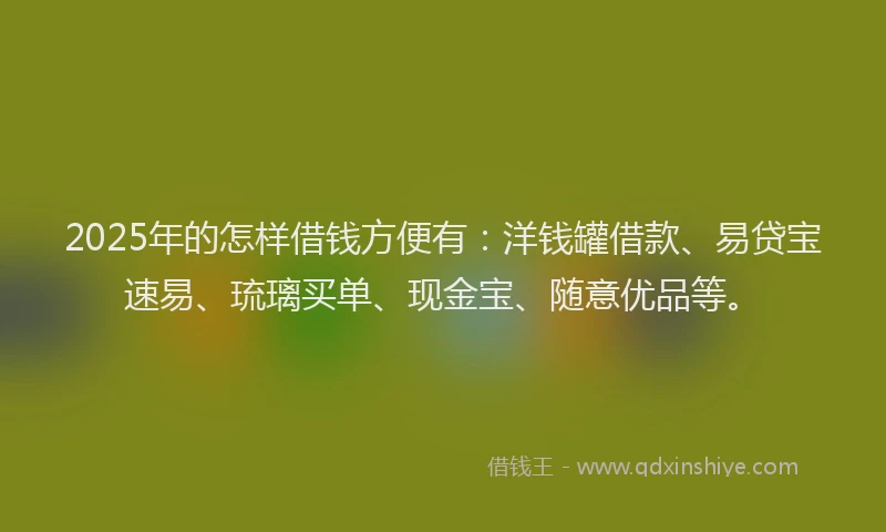2025年的怎样借钱方便有：洋钱罐借款、易贷宝速易、琉璃买单、现金宝、随意优品等。