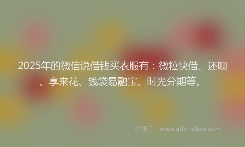 2025年的微信说借钱买衣服有：微粒快借、还呗、享来花、钱袋易融宝、时光分期等。