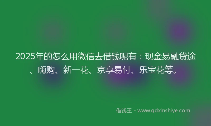 2025年的怎么用微信去借钱呢有：现金易融贷途、嗨购、新一花、京享易付、乐宝花等。