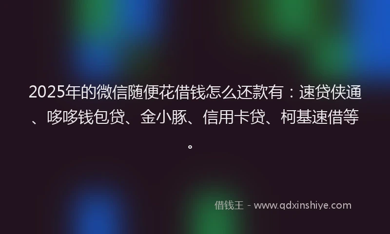 2025年的微信随便花借钱怎么还款有：速贷侠通、哆哆钱包贷、金小豚、信用卡贷、柯基速借等。