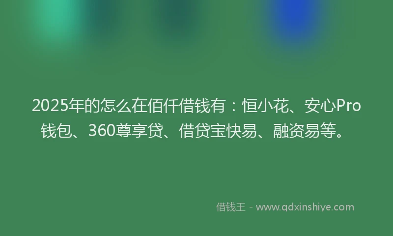 2025年的怎么在佰仟借钱有：恒小花、安心Pro钱包、360尊享贷、借贷宝快易、融资易等。