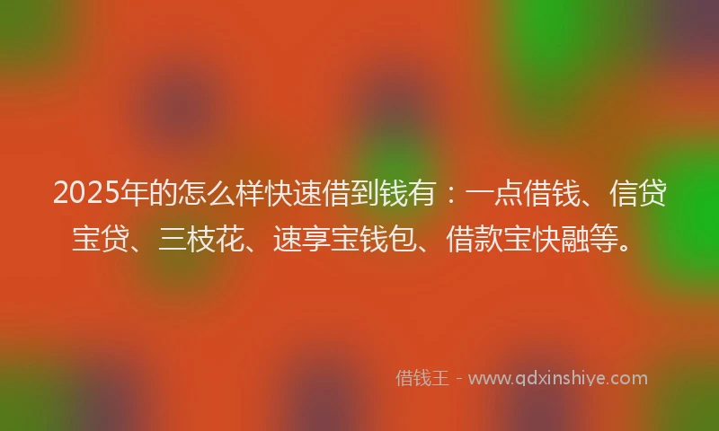 2025年的怎么样快速借到钱有：一点借钱、信贷宝贷、三枝花、速享宝钱包、借款宝快融等。
