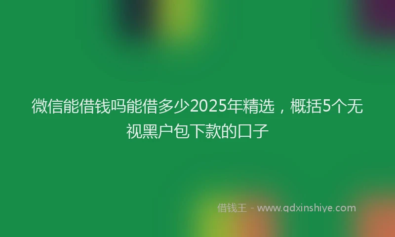 微信能借钱吗能借多少2025年精选，概括5个无视黑户包下款的口子