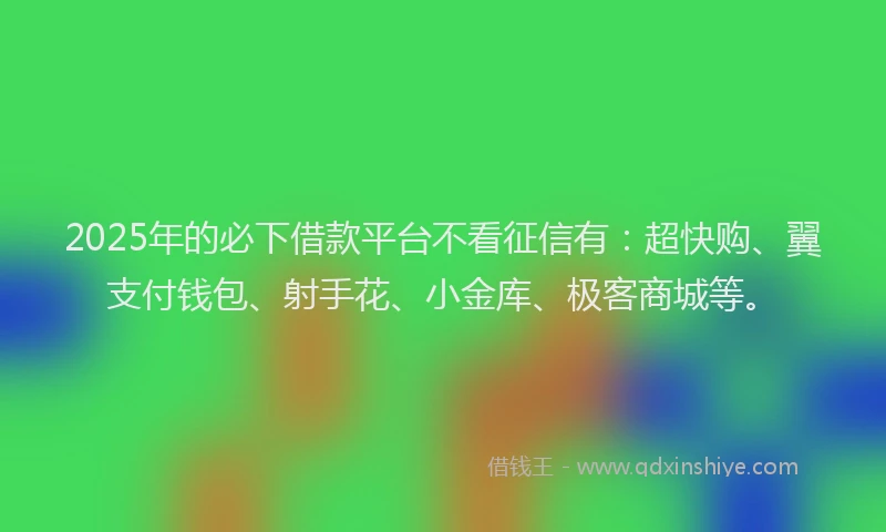 2025年的必下借款平台不看征信有：超快购、翼支付钱包、射手花、小金库、极客商城等。