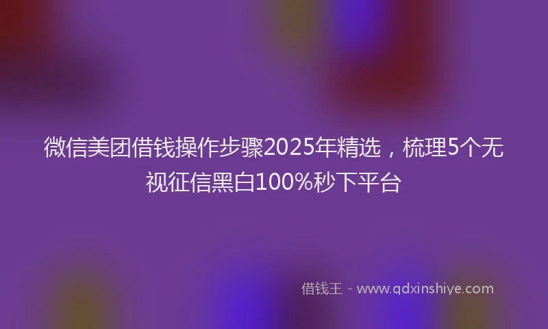 微信美团借钱操作步骤2025年精选，梳理5个无视征信黑白100%秒下平台