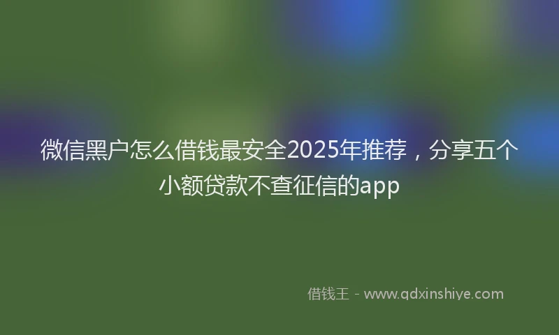 微信黑户怎么借钱最安全2025年推荐，分享五个小额贷款不查征信的app