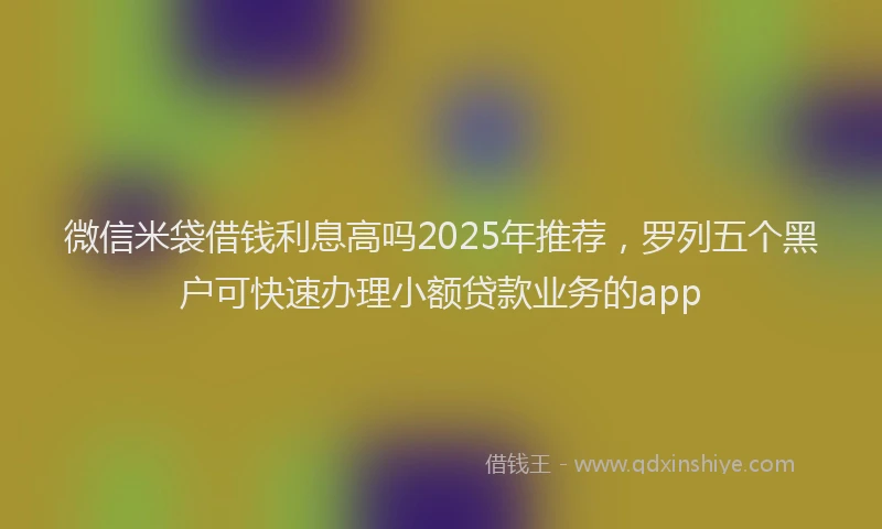 微信米袋借钱利息高吗2025年推荐，罗列五个黑户可快速办理小额贷款业务的app