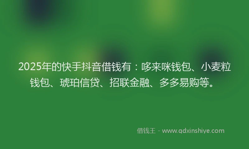 2025年的快手抖音借钱有：哆来咪钱包、小麦粒钱包、琥珀信贷、招联金融、多多易购等。