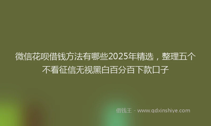 微信花呗借钱方法有哪些2025年精选，整理五个不看征信无视黑白百分百下款口子
