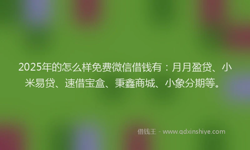 2025年的怎么样免费微信借钱有：月月盈贷、小米易贷、速借宝盒、秉鑫商城、小象分期等。