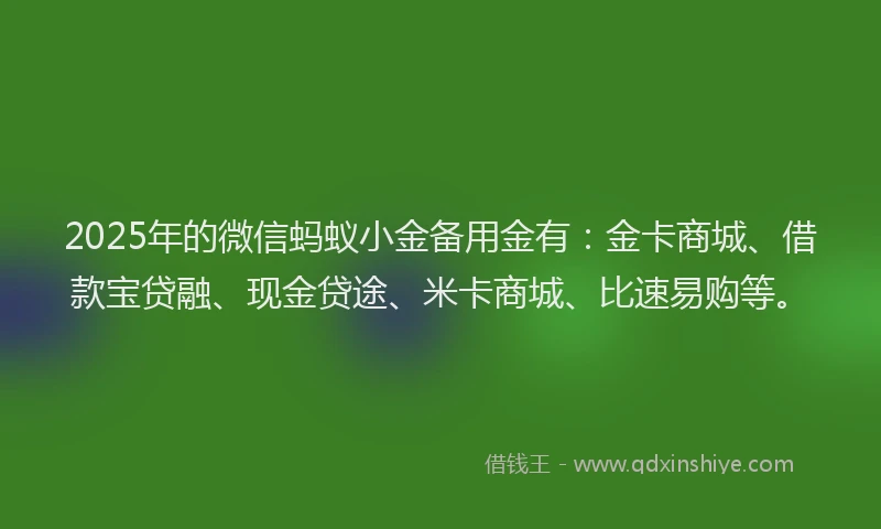2025年的微信蚂蚁小金备用金有：金卡商城、借款宝贷融、现金贷途、米卡商城、比速易购等。