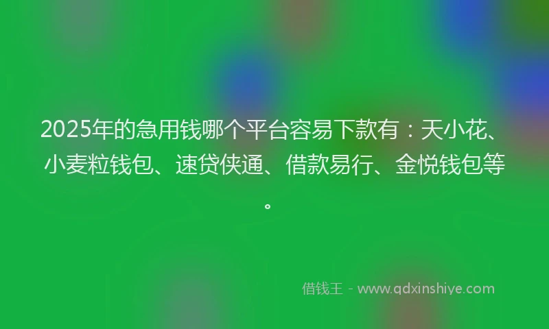 2025年的急用钱哪个平台容易下款有:天小花、小麦粒钱包、速贷侠通、借款易行、金悦钱包等。