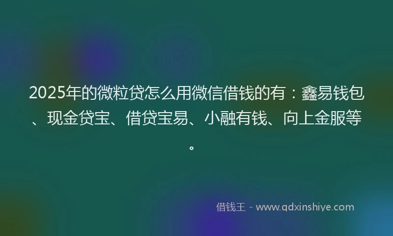 2025年的微粒贷怎么用微信借钱的有：鑫易钱包、现金贷宝、借贷宝易、小融有钱、向上金服等。