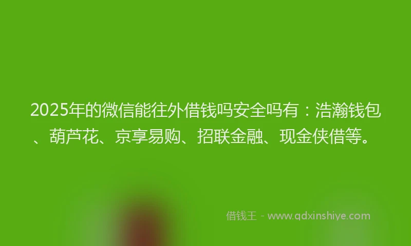 2025年的微信能往外借钱吗安全吗有：浩瀚钱包、葫芦花、京享易购、招联金融、现金侠借等。