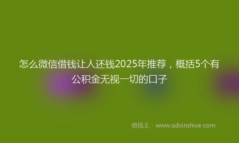 怎么微信借钱让人还钱2025年推荐，概括5个有公积金无视一切的口子