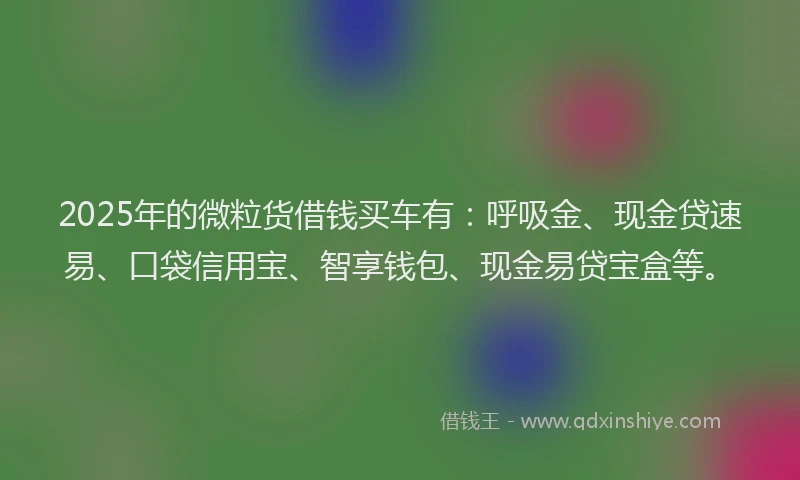 2025年的微粒货借钱买车有：呼吸金、现金贷速易、口袋信用宝、智享钱包、现金易贷宝盒等。