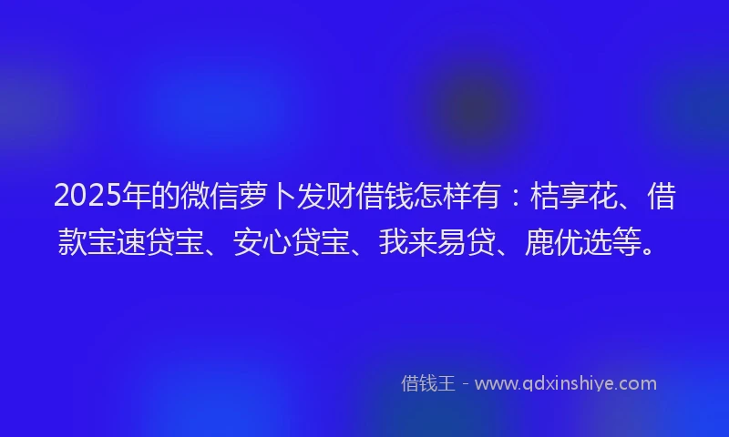2025年的微信萝卜发财借钱怎样有：桔享花、借款宝速贷宝、安心贷宝、我来易贷、鹿优选等。