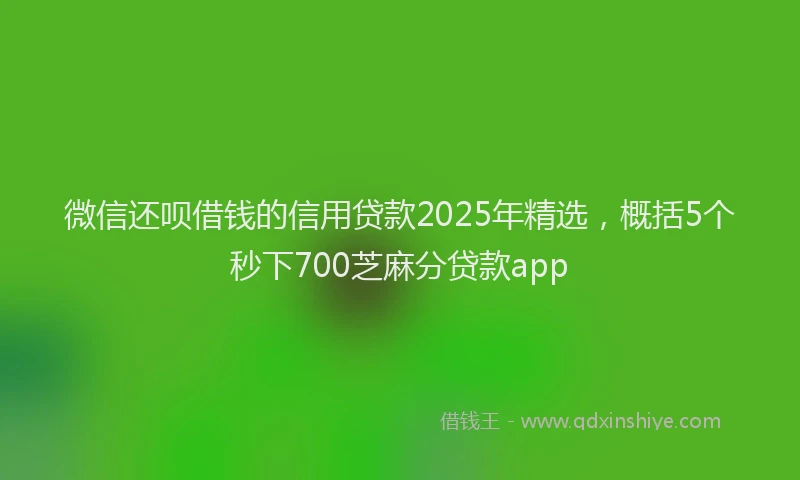 微信还呗借钱的信用贷款2025年精选，概括5个秒下700芝麻分贷款app
