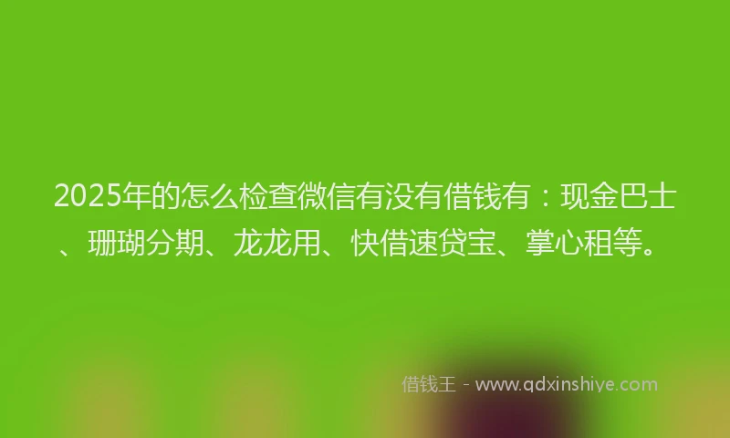 2025年的怎么检查微信有没有借钱有：现金巴士、珊瑚分期、龙龙用、快借速贷宝、掌心租等。