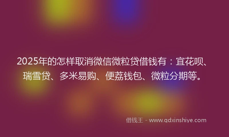 2025年的怎样取消微信微粒贷借钱有：宜花呗、瑞雪贷、多米易购、便荔钱包、微粒分期等。