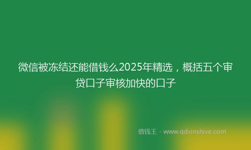 微信被冻结还能借钱么2025年精选，概括五个审贷口子审核加快的口子