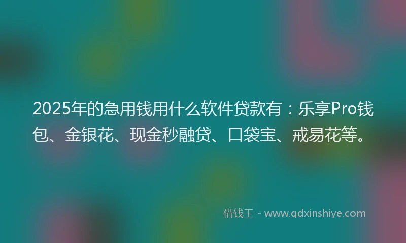 2025年的急用钱用什么软件贷款有：乐享Pro钱包、金银花、现金秒融贷、口袋宝、戒易花等。