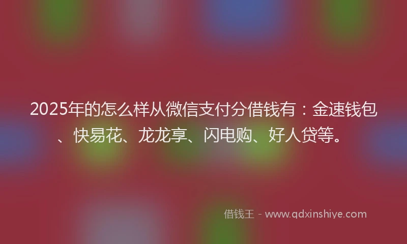 2025年的怎么样从微信支付分借钱有：金速钱包、快易花、龙龙享、闪电购、好人贷等。
