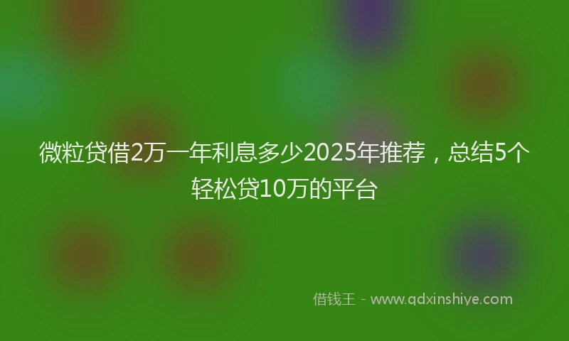 微粒贷借2万一年利息多少2025年推荐，总结5个轻松贷10万的平台