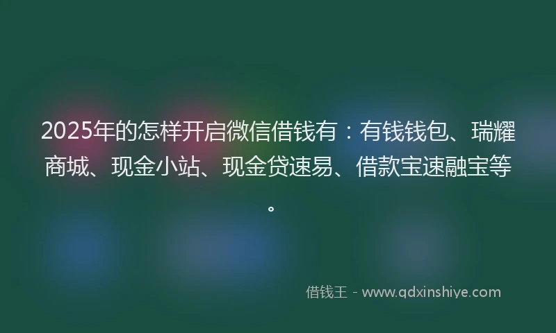 2025年的怎样开启微信借钱有：有钱钱包、瑞耀商城、现金小站、现金贷速易、借款宝速融宝等。