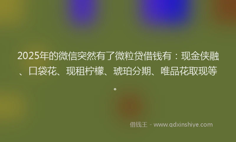 2025年的微信突然有了微粒贷借钱有：现金侠融、口袋花、现租柠檬、琥珀分期、唯品花取现等。