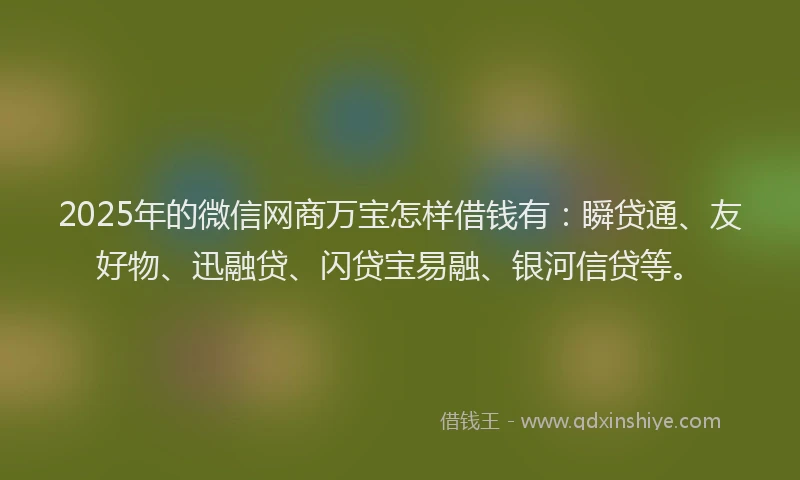 2025年的微信网商万宝怎样借钱有：瞬贷通、友好物、迅融贷、闪贷宝易融、银河信贷等。