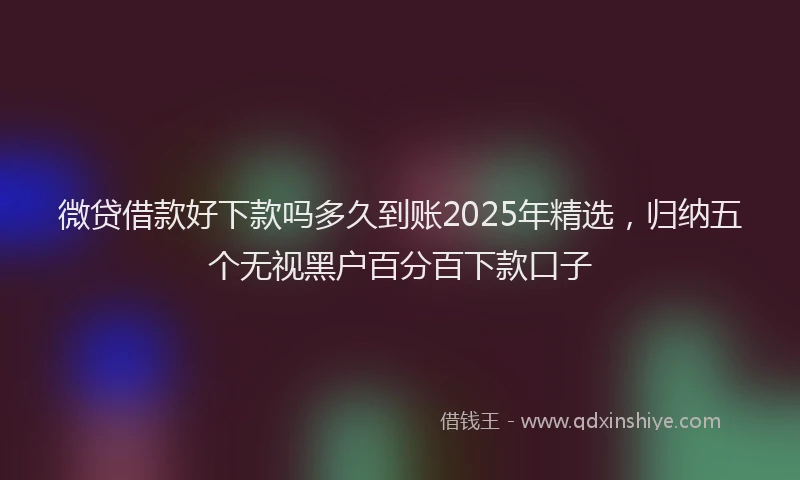 微贷借款好下款吗多久到账2025年精选，归纳五个无视黑户百分百下款口子