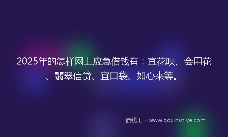 2025年的怎样网上应急借钱有：宜花呗、会用花、翡翠信贷、宜口袋、如心来等。