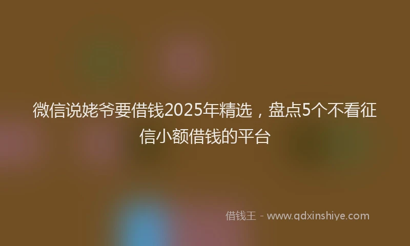 微信说姥爷要借钱2025年精选，盘点5个不看征信小额借钱的平台