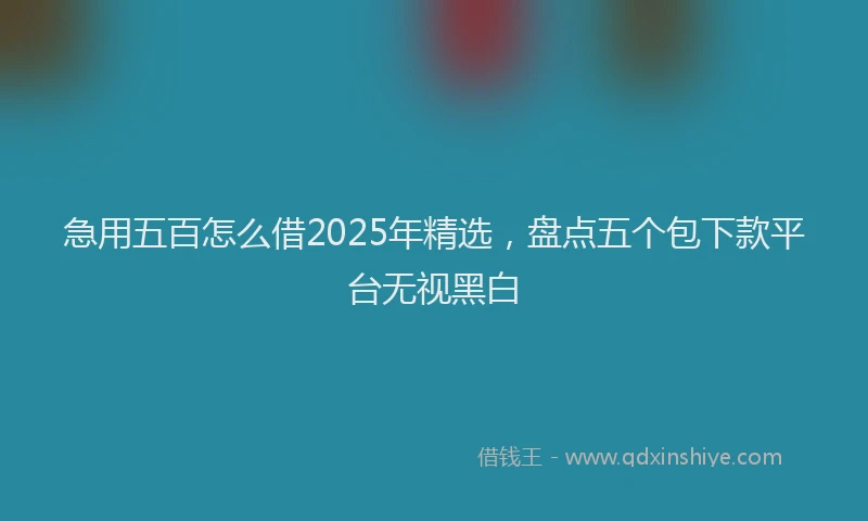 急用五百怎么借2025年精选，盘点五个包下款平台无视黑白