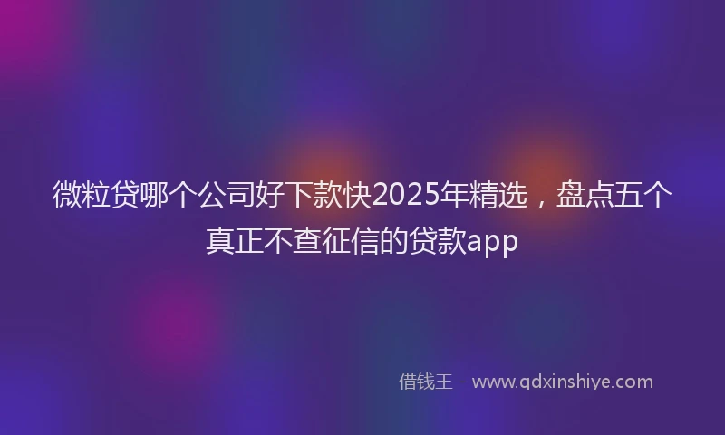 微粒贷哪个公司好下款快2025年精选，盘点五个真正不查征信的贷款app