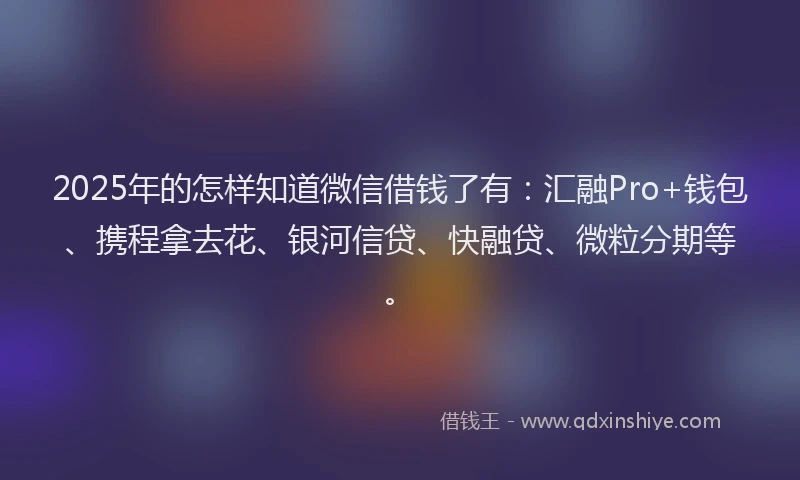 2025年的怎样知道微信借钱了有：汇融Pro+钱包、携程拿去花、银河信贷、快融贷、微粒分期等。