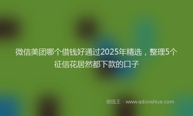 微信美团哪个借钱好通过2025年精选，整理5个征信花居然都下款的口子