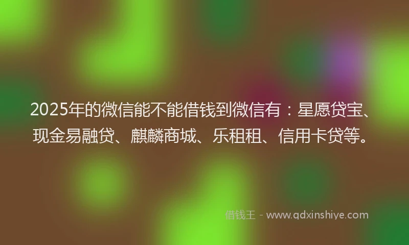 2025年的微信能不能借钱到微信有：星愿贷宝、现金易融贷、麒麟商城、乐租租、信用卡贷等。