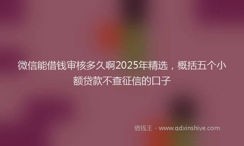 微信能借钱审核多久啊2025年精选，概括五个小额贷款不查征信的口子